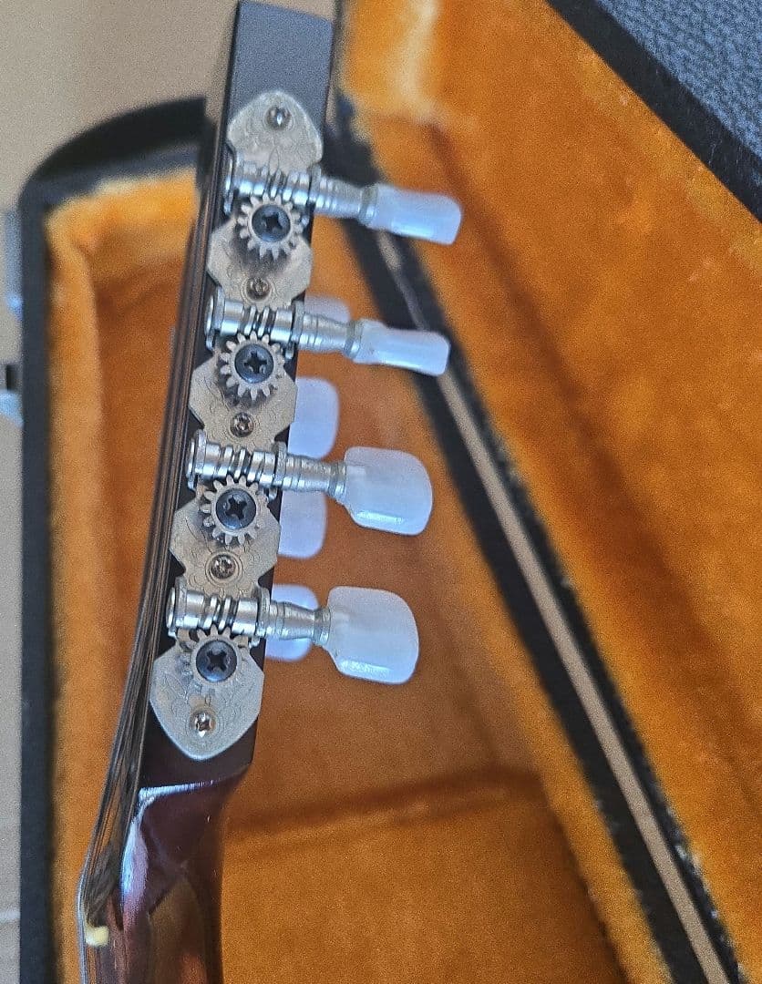 Suzuki M-30 マンドリン 本体 ハードケース付き