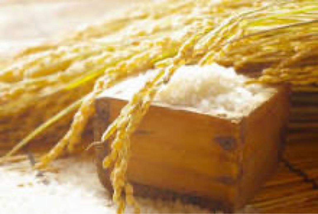 【令和7年産】鳥取県智頭町産 コシヒカリHayabusa165様