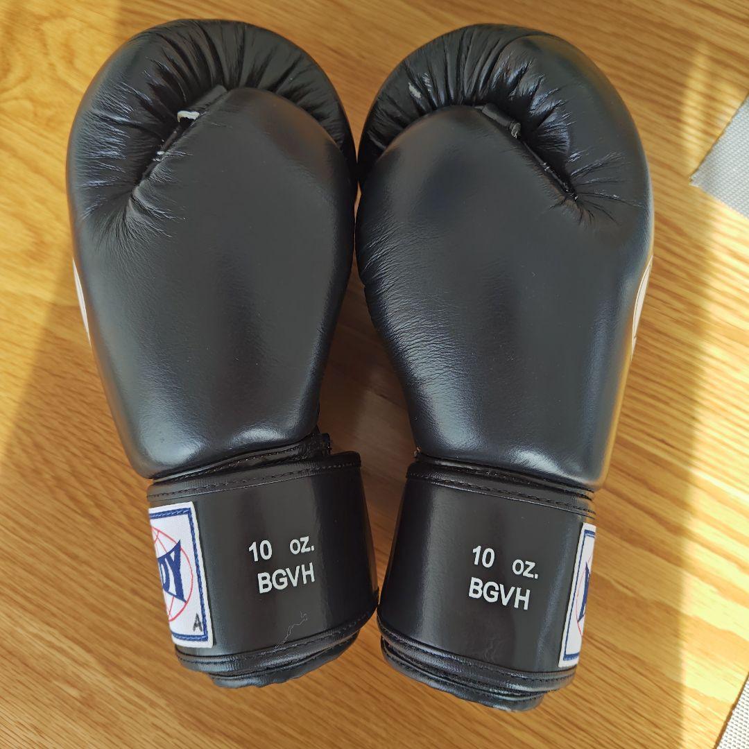 WINDY ボクシンググローブ 10 oz BGVH