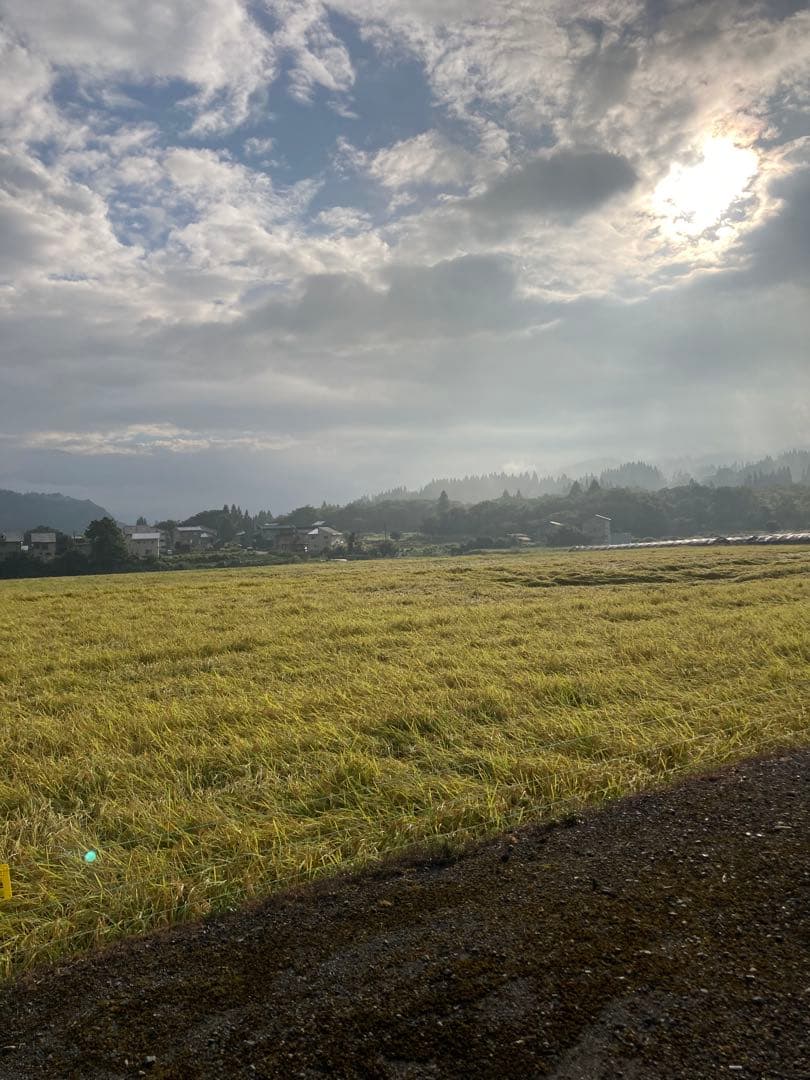 魚沼コシヒカリ精米10kg