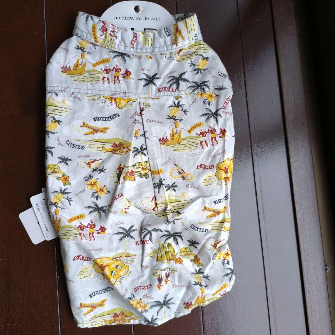 アズノゥアズデワン4点おまとめ