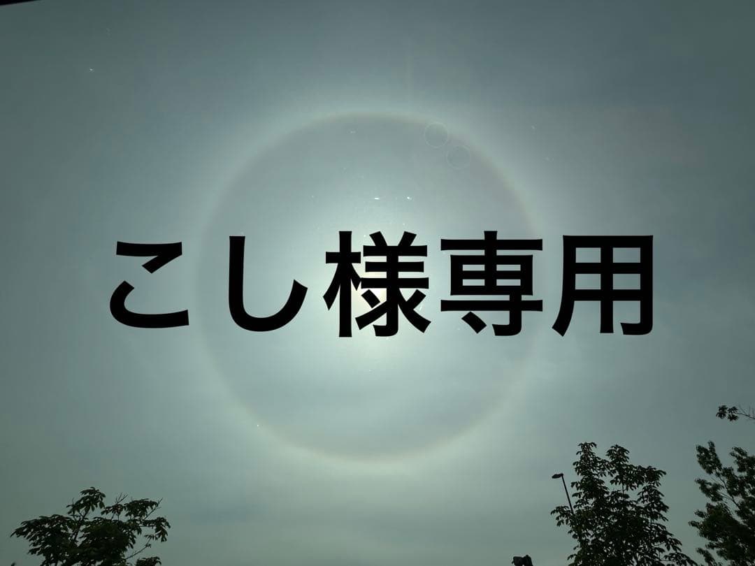 Luddite エバードロー　銘木モデル　シャープペンシル　マホガニーカーリー