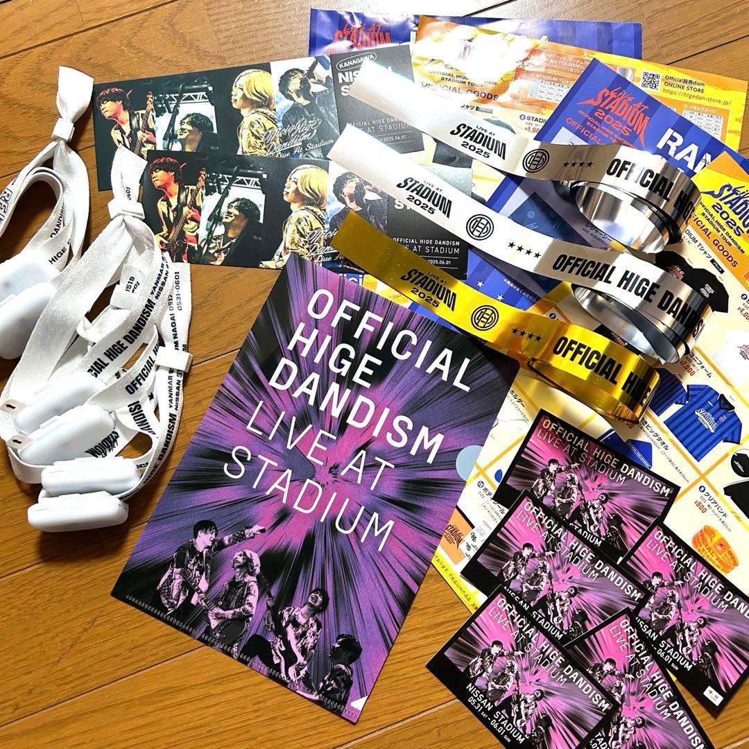 Official髭男dism スタジアムライブメモリアルチケット クリアファイル