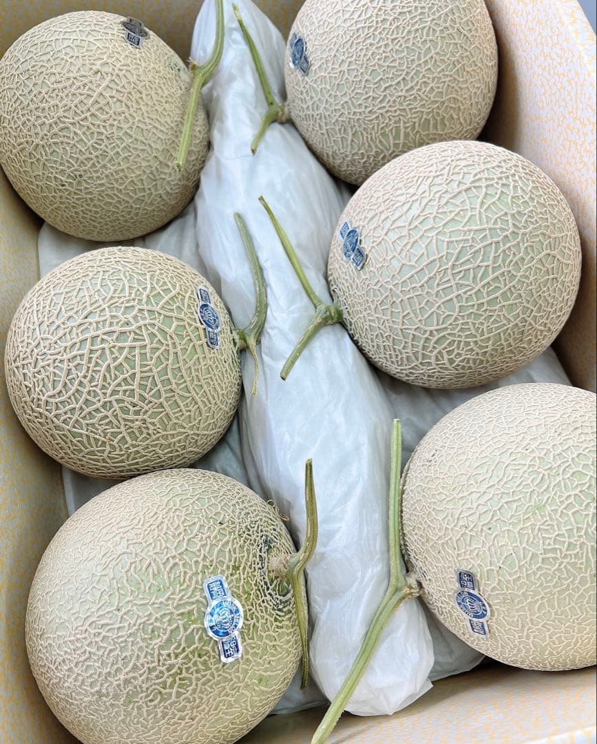 最高級クラウンメロン　6-7kg以上　温室マスクメロン　マスクメロン