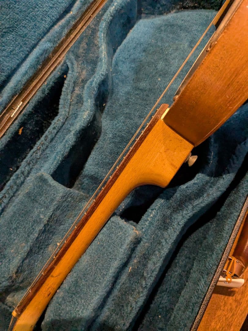 バンジョーマンドリン