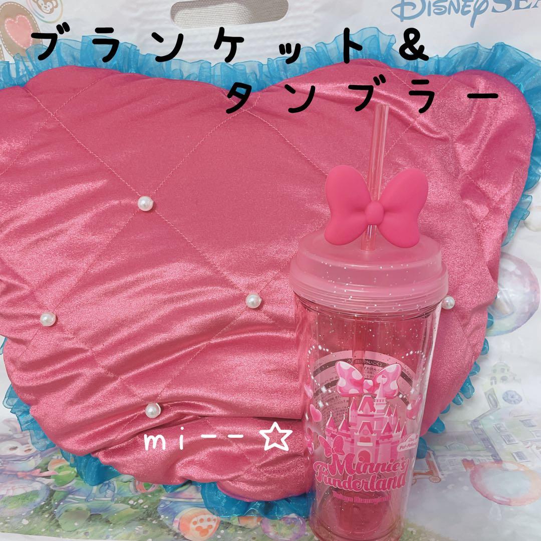 ディズニー パルパルーザ ミニー ファンダーランドポップコーンバケットスーベニア