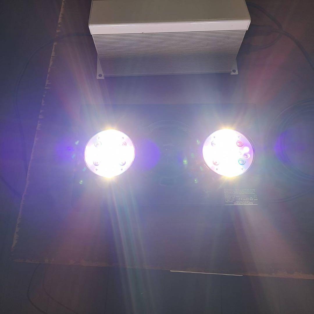 エコテックマリン　Radion XR30　G3PRO