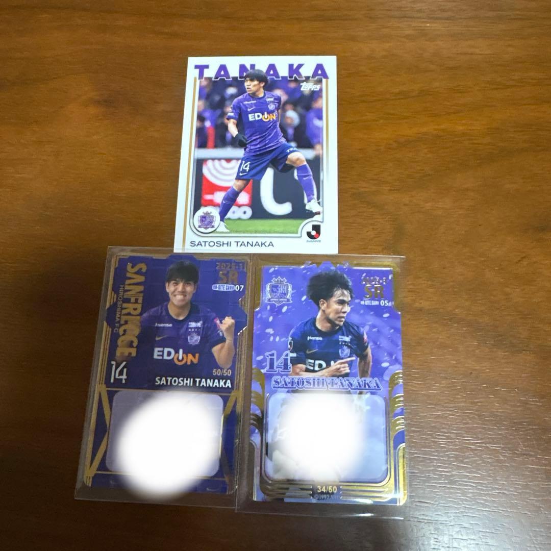 田中聡　サンフレッチェ広島　湘南ベルマーレ