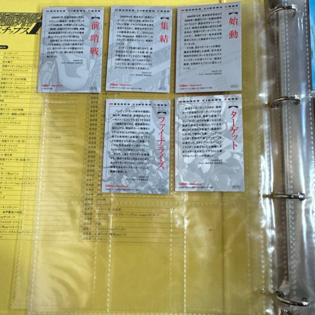 ［エラー3種］仮面ライダーチップスRフルコンプ＋オマケ有り