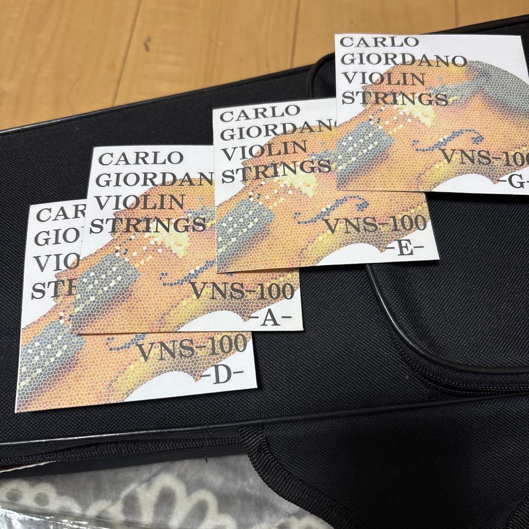 カルロジョルダーノ 4/4 バイオリン VS-1 弓　ケース付