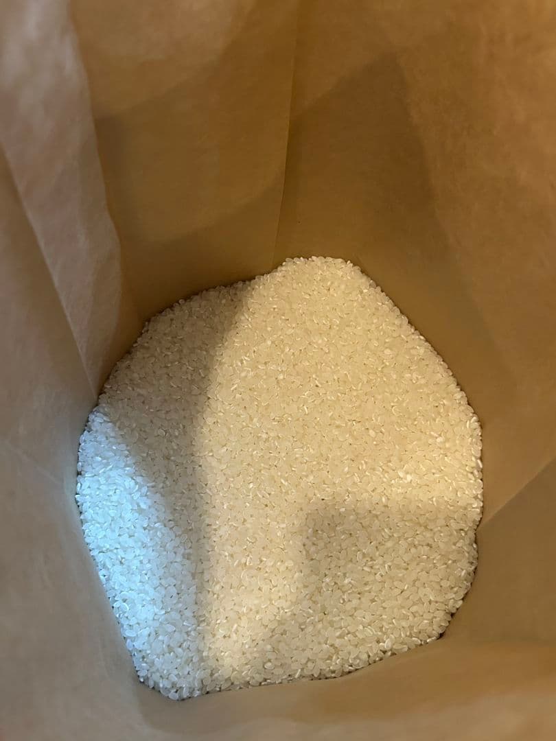 米 10kg(精米後) 精米４月 送料無料 ゆめみずほ