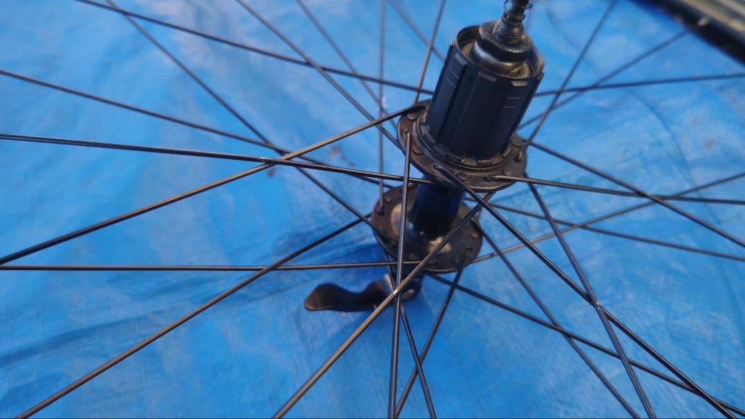 美品COLNAGO完組ホイール 11S互換 2本セット