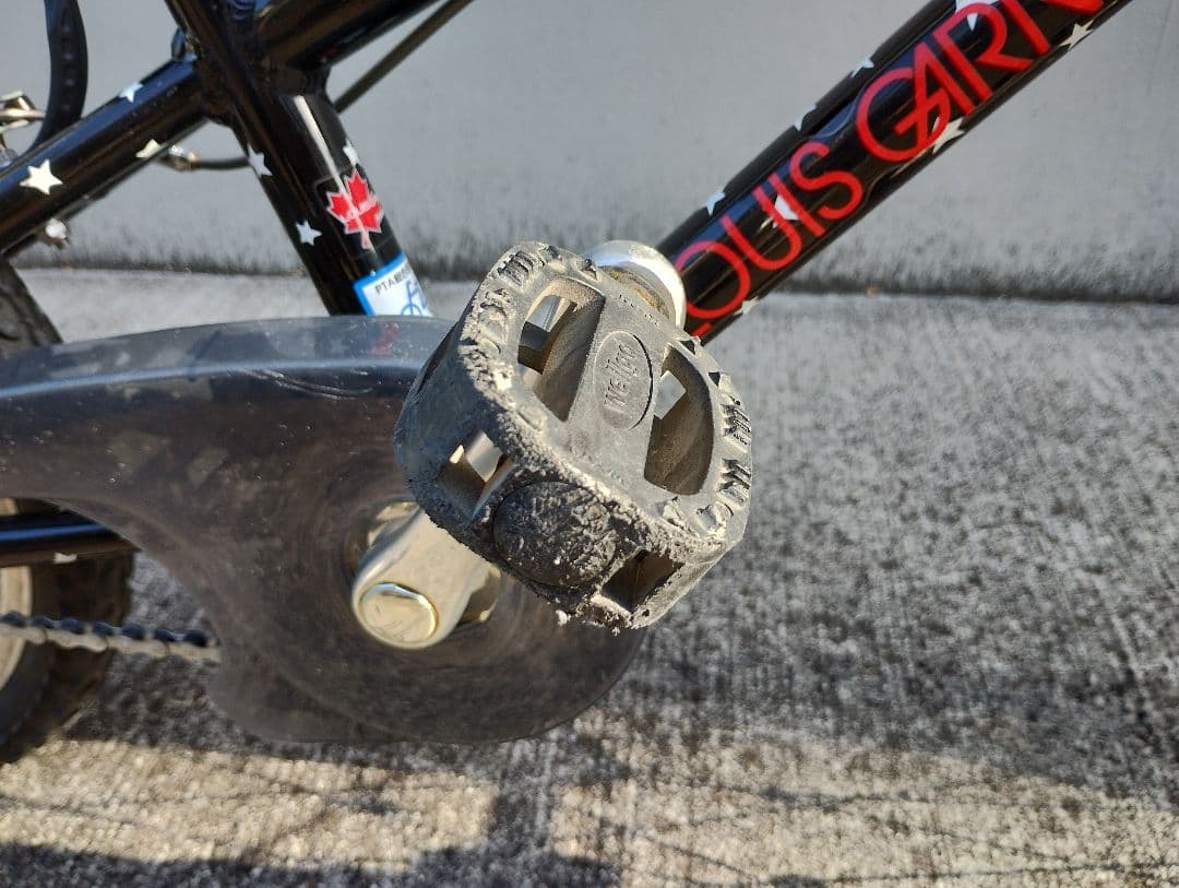 【限定カラー】LOUIS GARNEAU キッズバイク（16インチ）