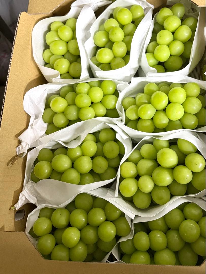 早い者勝ち！最後の最後！残り1箱！14日発送！山梨県産シャインマスカット5kg