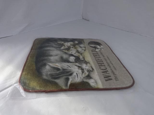 専用　ミニタオル　ハンカチ　母さん　アート　非売品　わちふぃーるど　ダヤン　猫