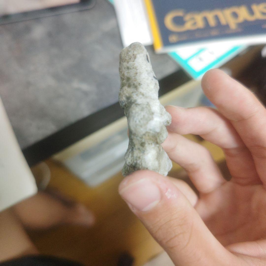 沖縄で拾った人みたいな石