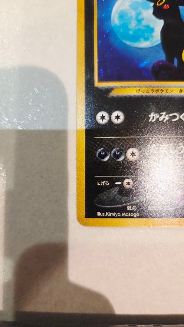 ブラッキー　(遺跡をこえて…)