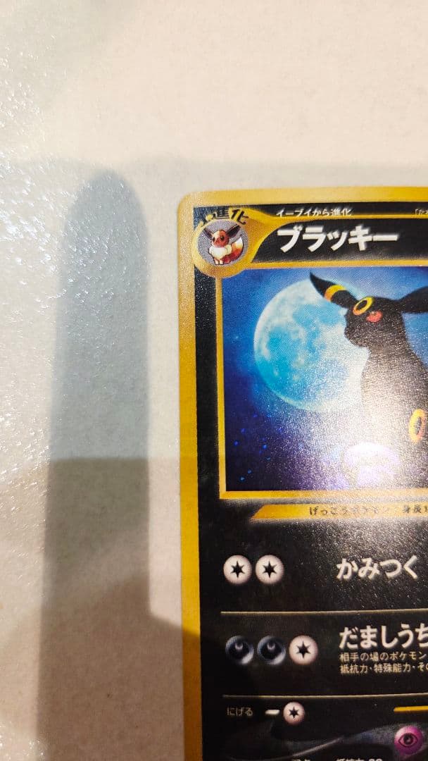 ブラッキー　(遺跡をこえて…)