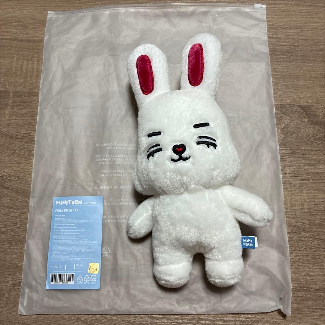 seventeen ミニティーン　エスクプス