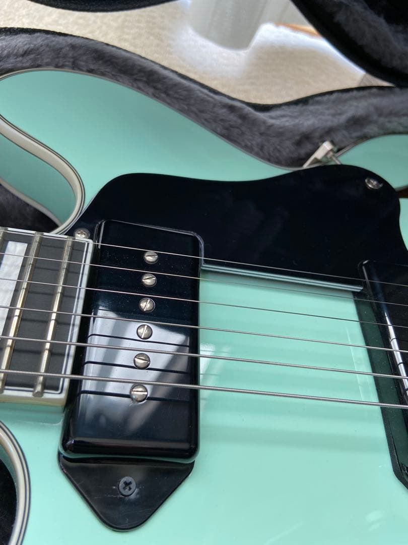 Seventyseven Exrubato Zebra Finch セミアコ