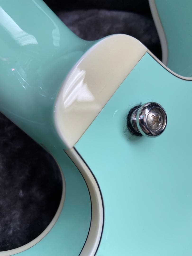 Seventyseven Exrubato Zebra Finch セミアコ