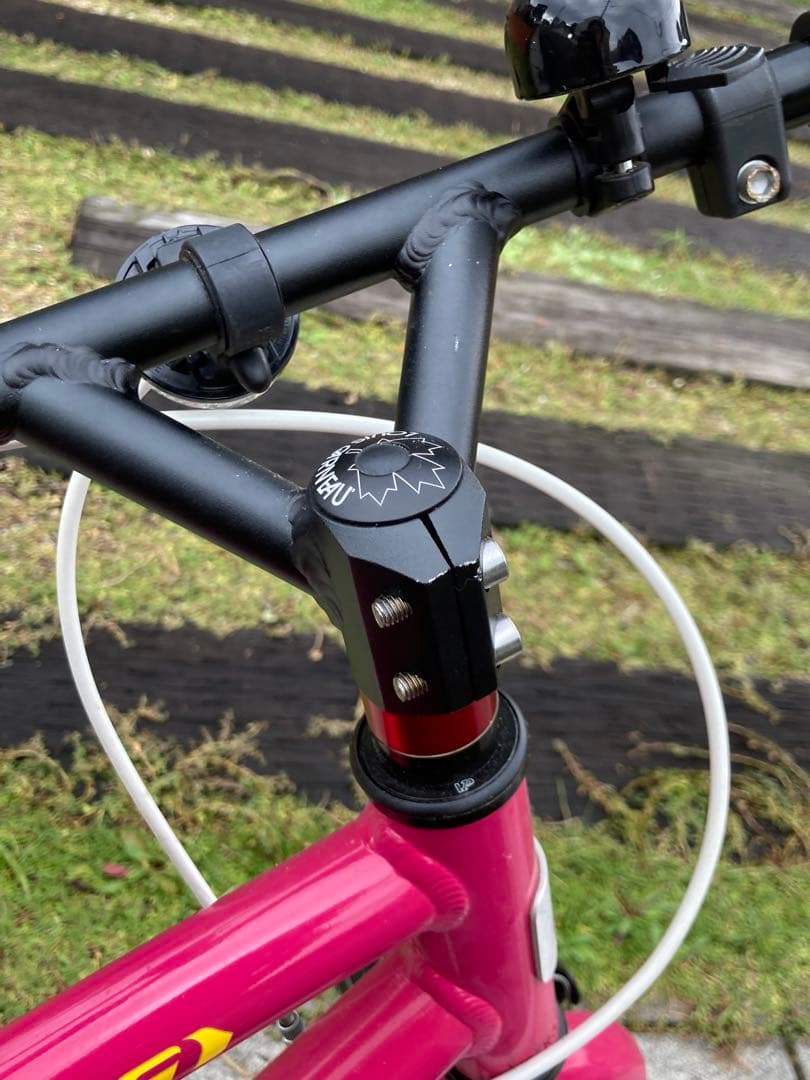 ルイガノ　18インチ　子供用