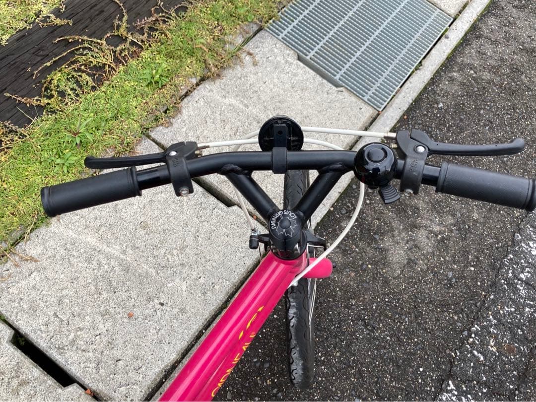 ルイガノ　18インチ　子供用