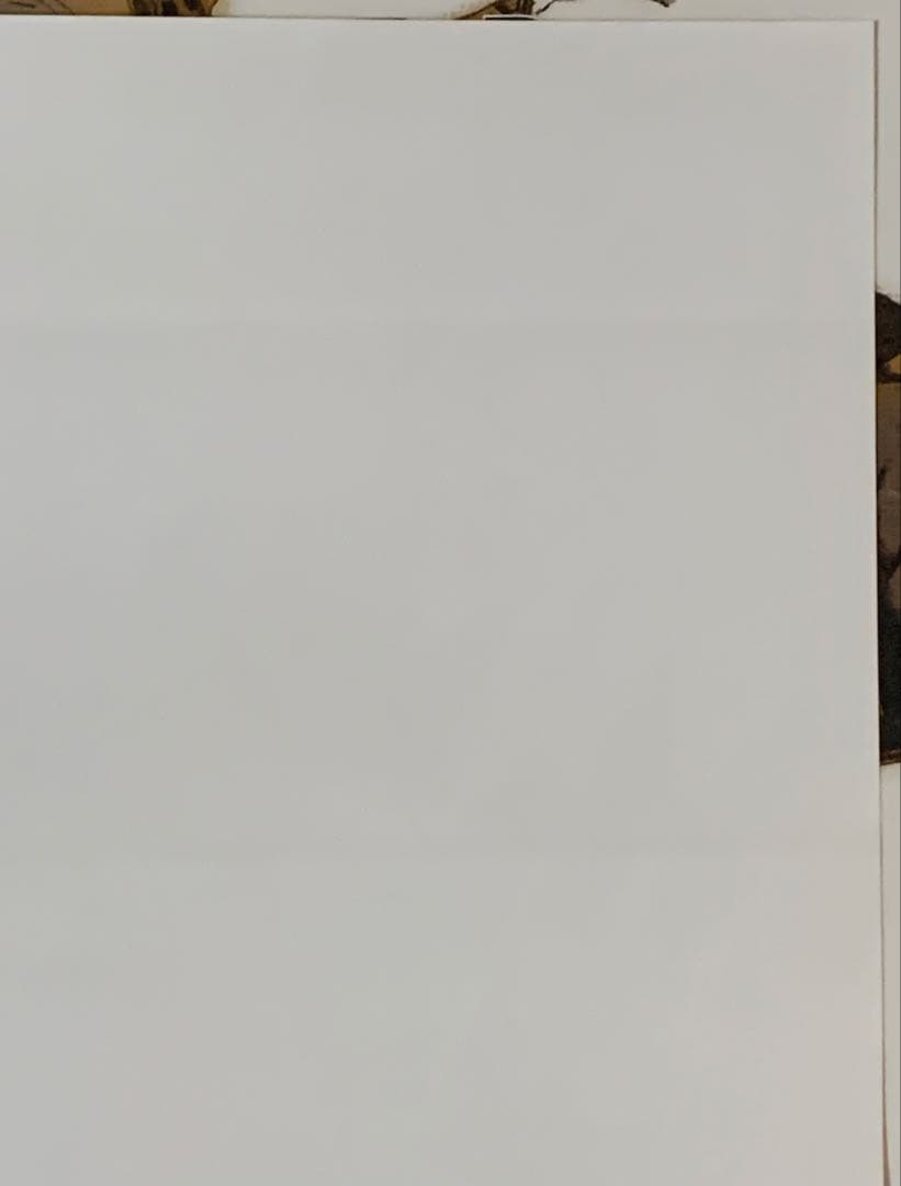 【B2・折れ跡あり】 キングダムハーツ チェインオブメモリーズ 販促 ポスター