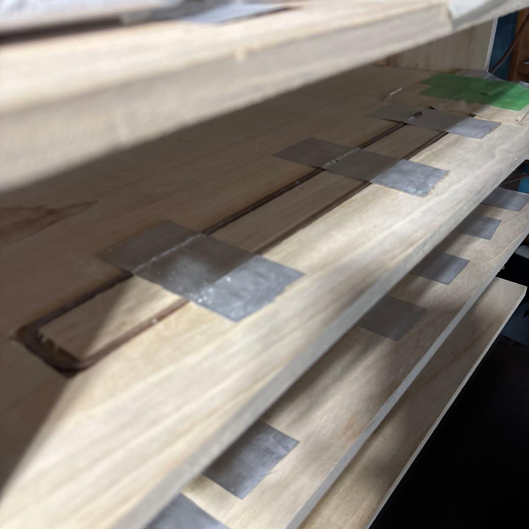 爬虫類飼育棚　6段　ダイソーシューズケース仕様　スネークラック中古