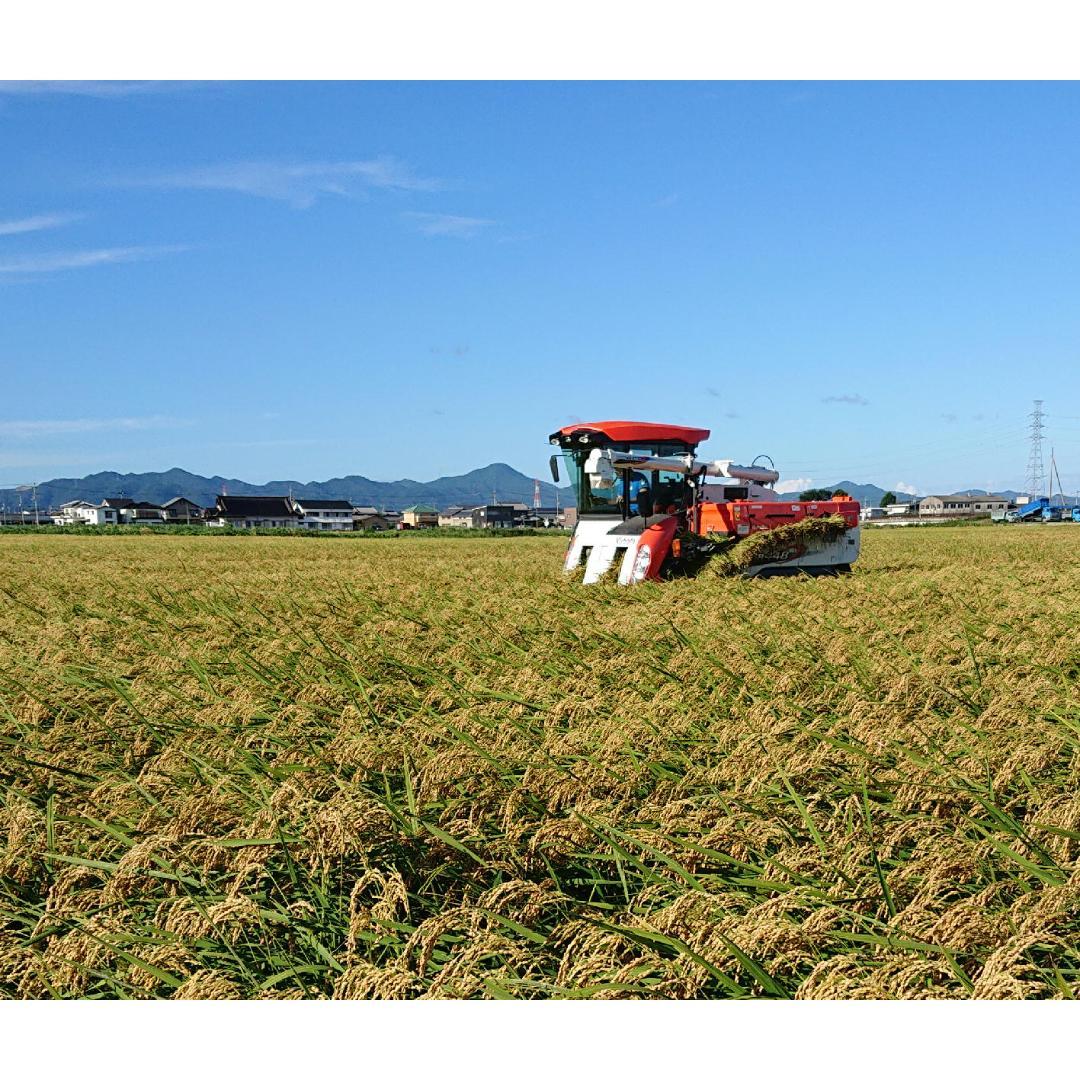 令和7年産　徳島県産　あきさかり　玄米　20kg　色彩選別　1.85網　冷蔵保管