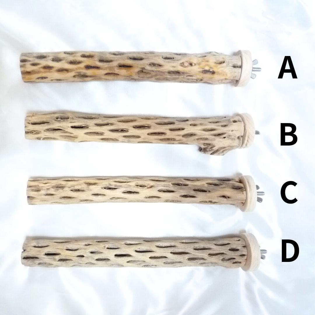 R　止まり木　カクタス　スケルトン　パーチおまとめ5本