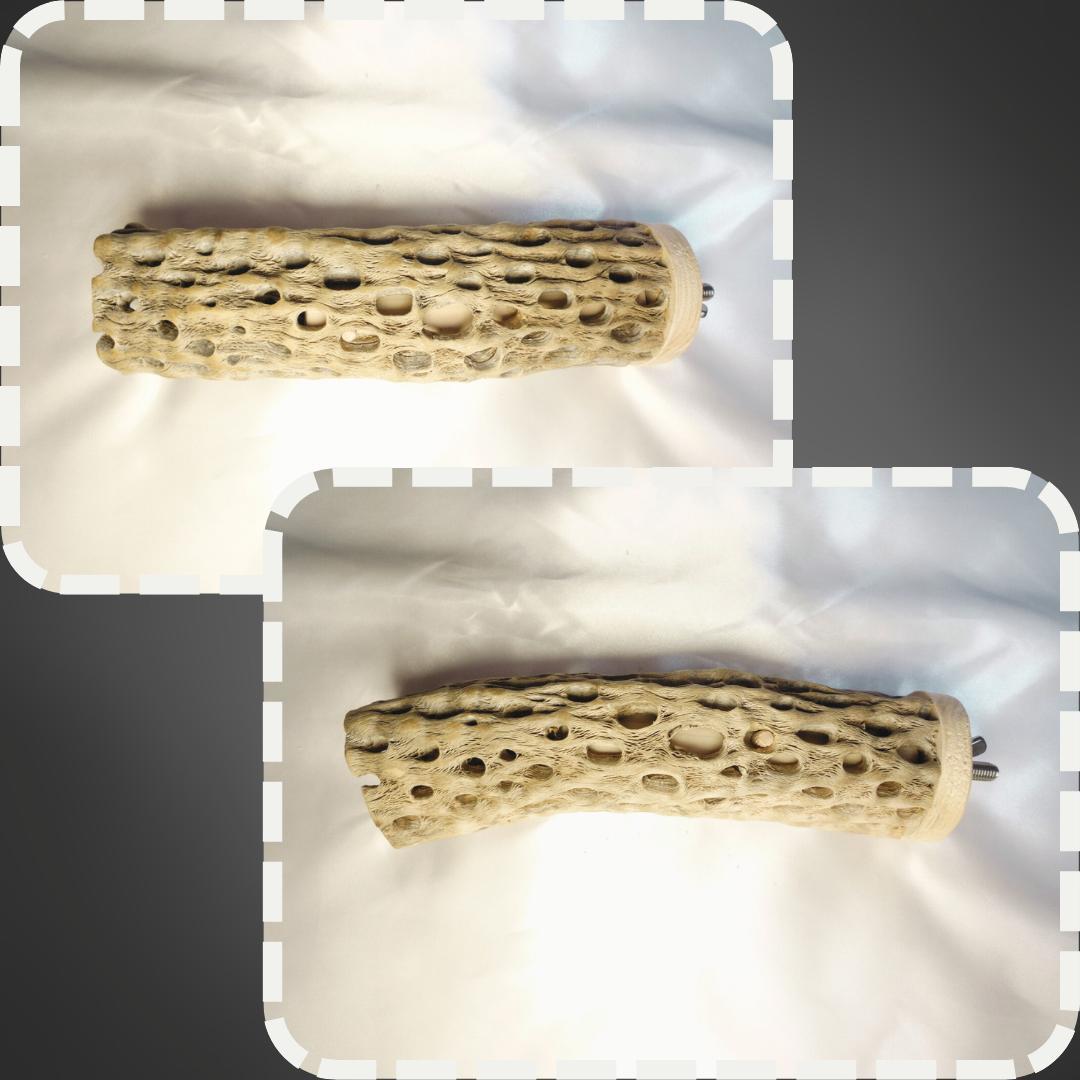 R　止まり木　カクタス　スケルトン　パーチおまとめ5本