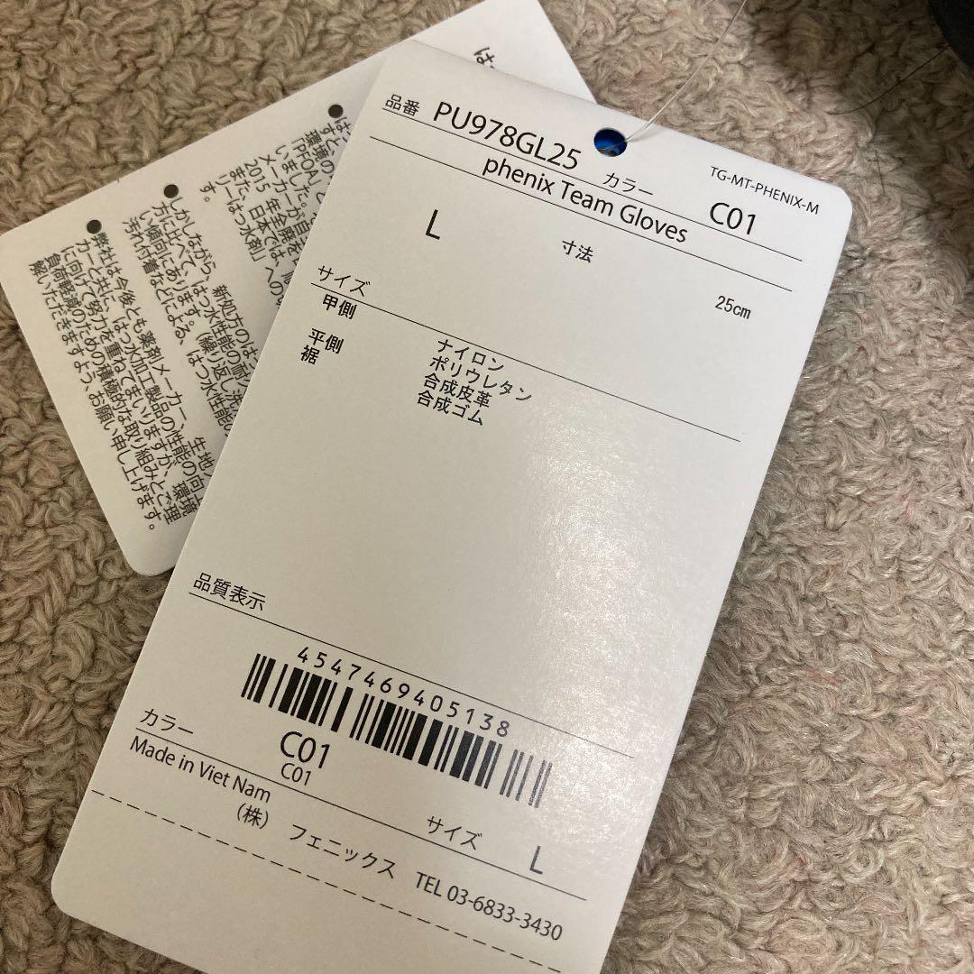 フェニックス　スキーグローブ　20-21 Ｌサイズ