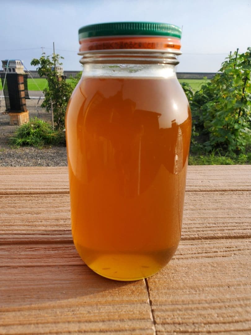 No.1　★日本蜜蜂のはちみつ★1200g(1瓶)