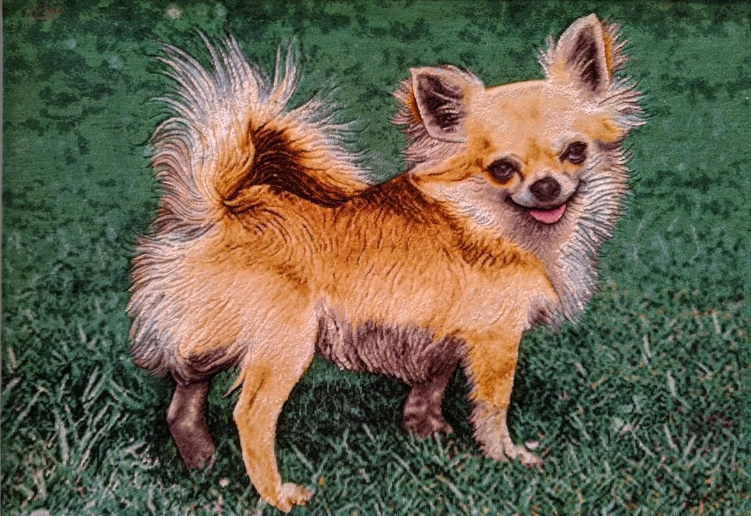 犬(チワワ）絵画絨毯  高級ペルシャ絨毯 ウール・シルク手織