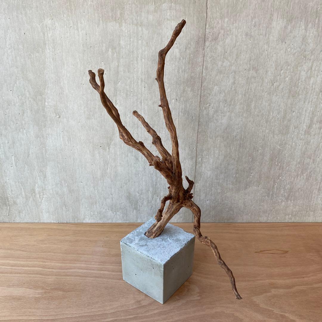 ❹【コンクリート盆栽 流木オブジェ】アクセサリー インテリア アート 爬虫類