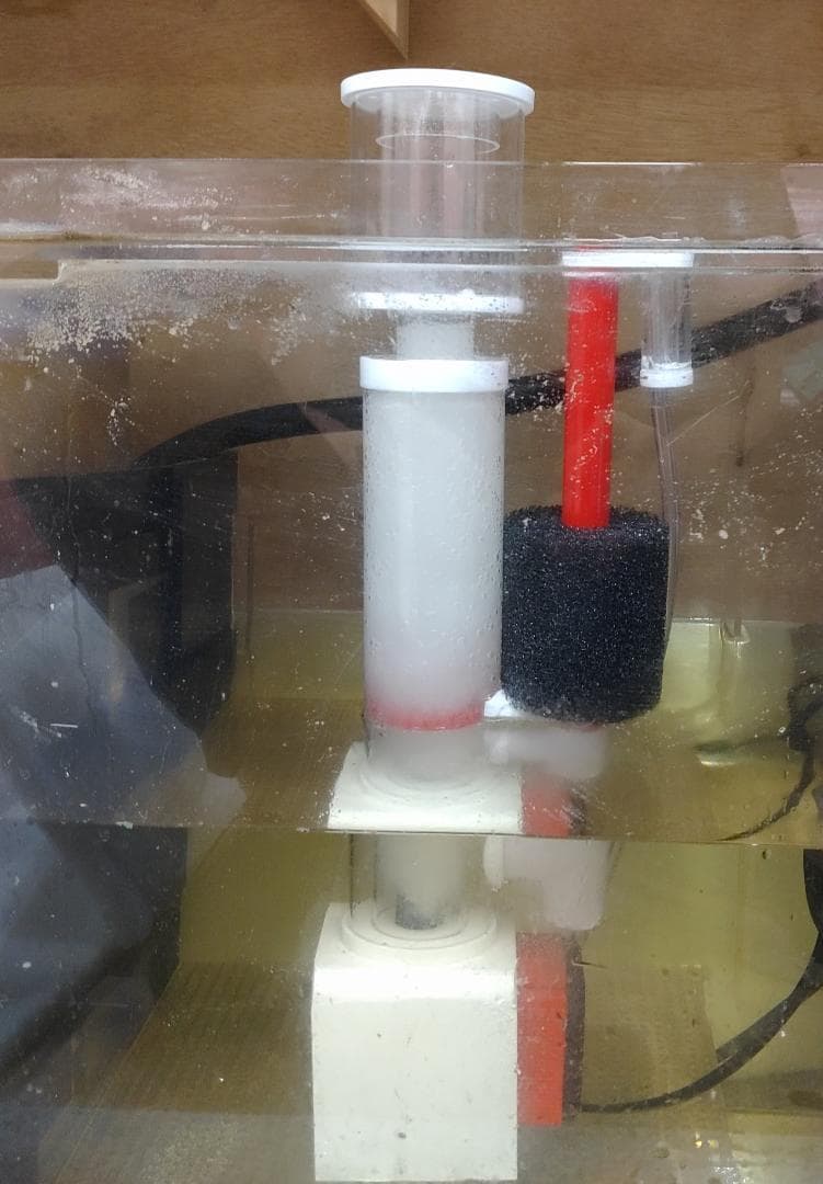 FREE WIND社　プロテインスキマー 300L対応　コンパクトサイズ