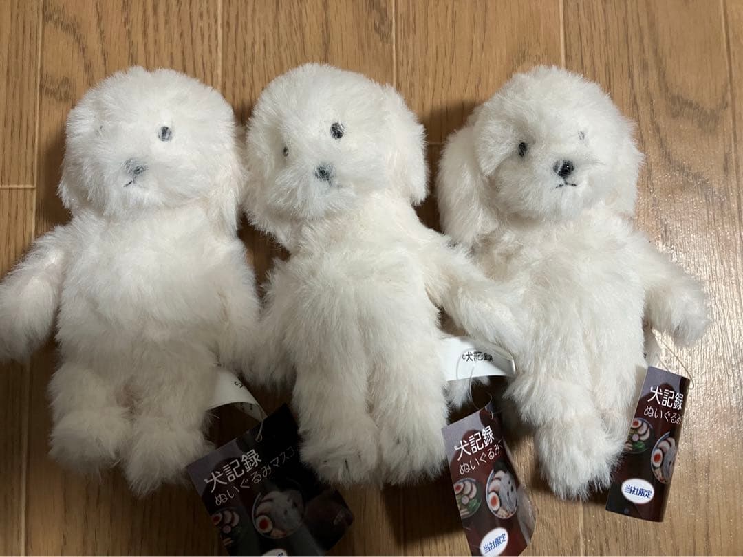 匿名配送　モーリーファンタジー　犬記録　ぬいぐるみマスコット　ノーマ3個