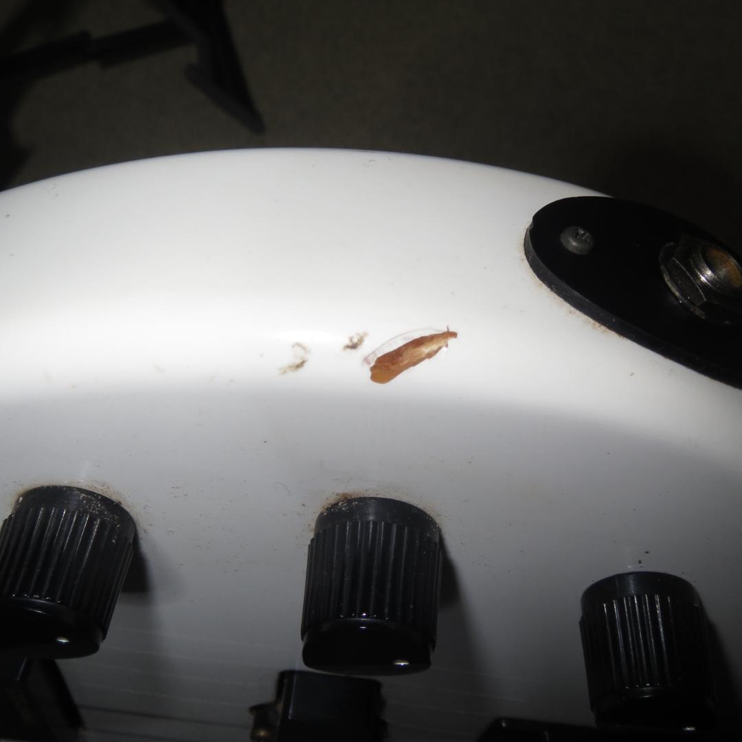 FERNANDES エレキベース REVOLVER FRB-45 ソフトケース付