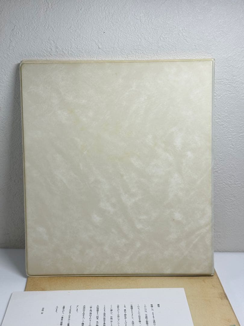 純銀製 記念メダル & 記念カバー 特別セット 全国限定 製造番号0119番