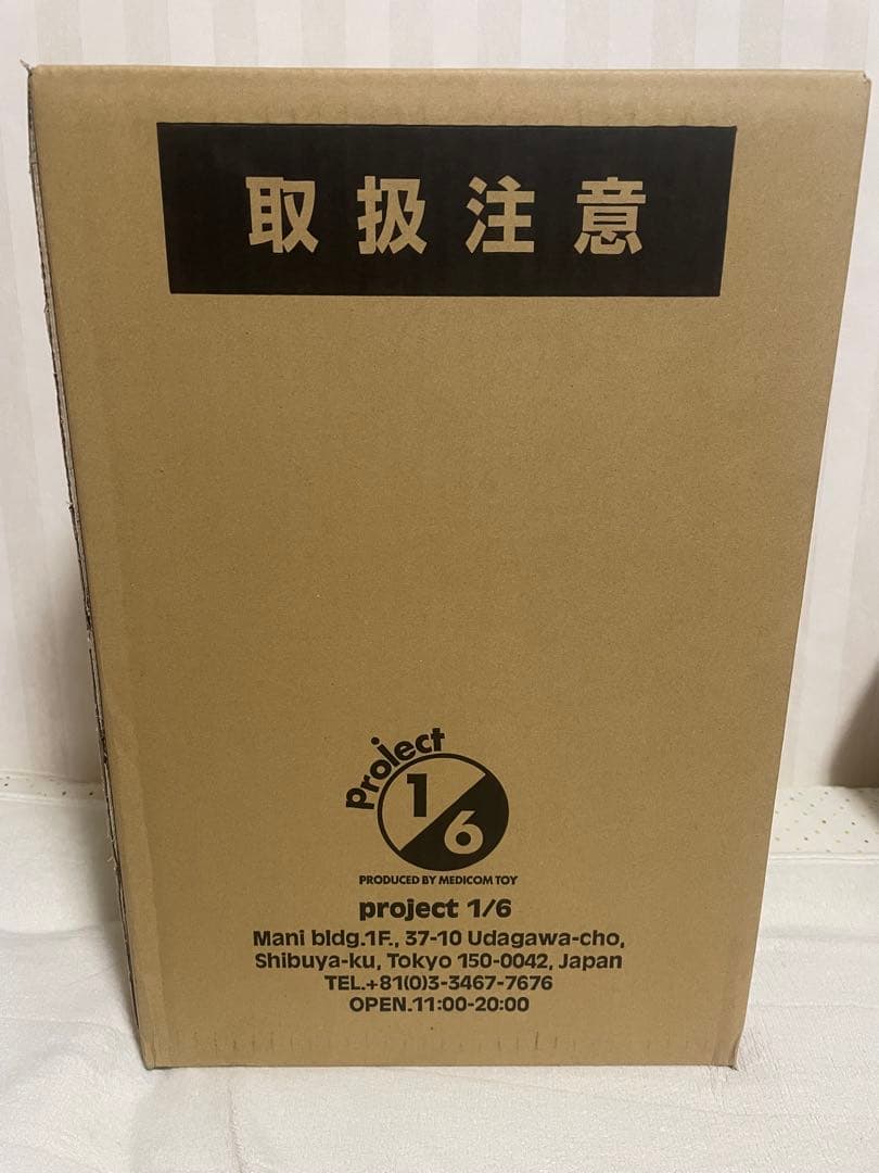 新品未開封 デストロイア完全体 安楽安作 メディコムトイ