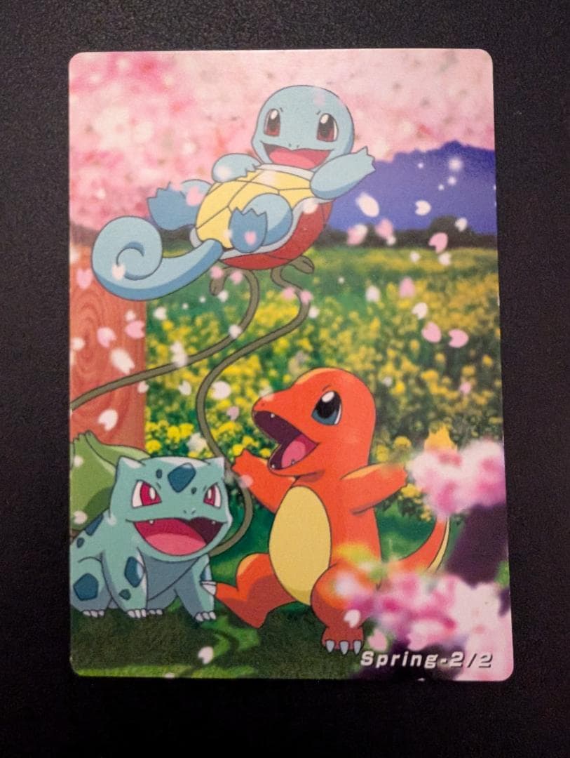 THE POKEMON WEEKLY　Spring1・2
