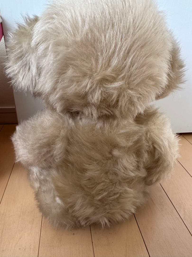 メリソート/チーキー