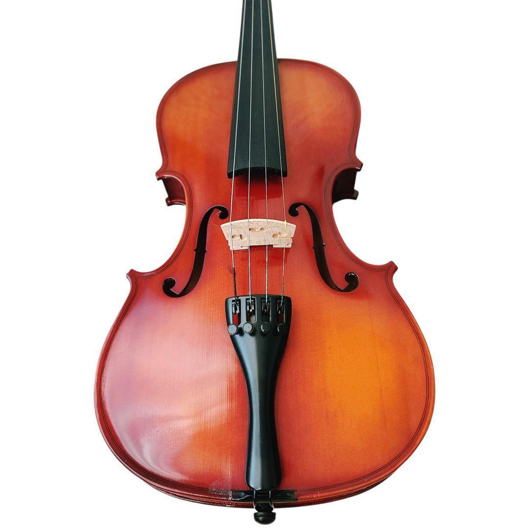 【極美品】ケース付き カルロジョルダーノ バイオリン VS-1 4/4 2010