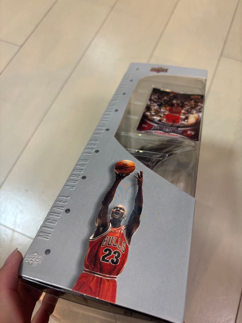 マクファーレン　マイケル・ジョーダン　フィギュア　NBA 25センチ