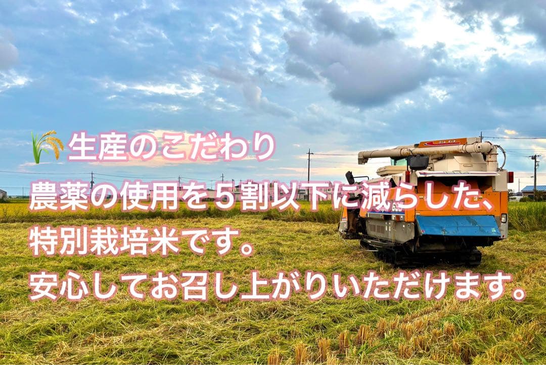 令和7年産新米ミルキークイーン玄米30kg（白米27キロ）埼玉北川辺産特別栽培米