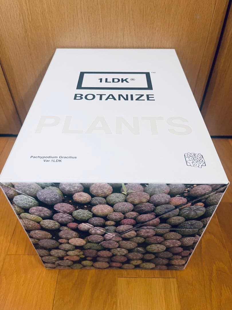 ボタナイズ メディコムトイ　1LDK MEDICOM TOY BOTANIZE