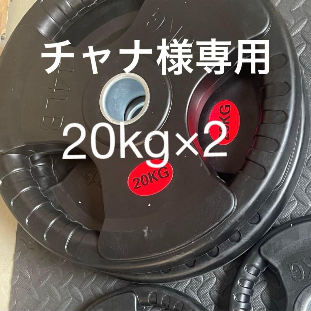 【チャナ】ダンベルプレート20kg×2