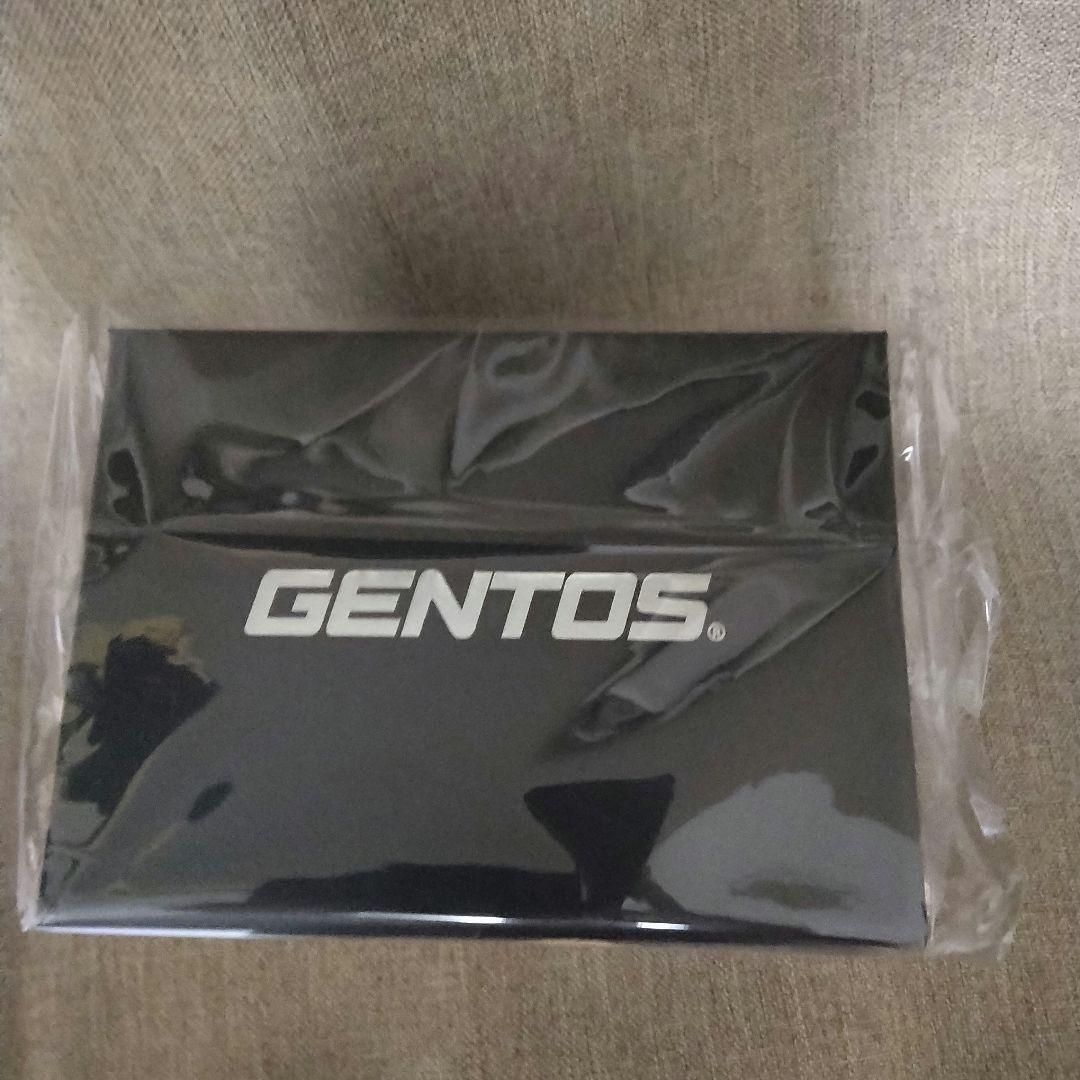 GENTOSヘッドライト　GH-300RG　ジェントス