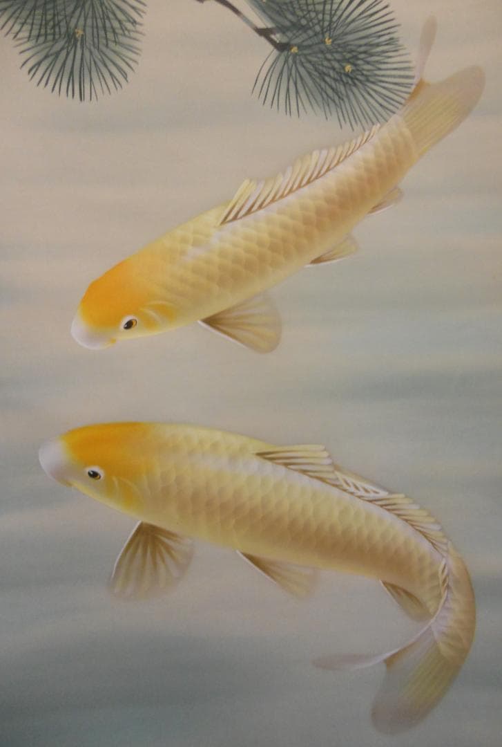 掛け軸 秀湖 金運 黄金鯉 絹本 希少 軸装 茶道具 掛軸 美品 です。